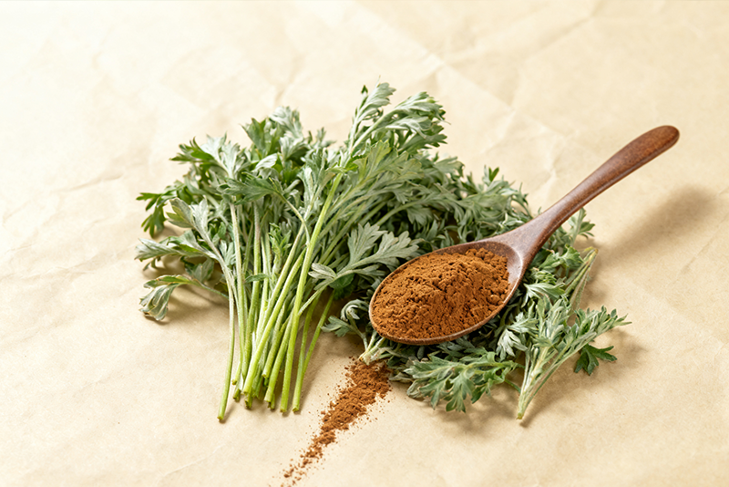 Extrato natural de absinto capilar, sem aditivos, extração pura, qualidade garantida.