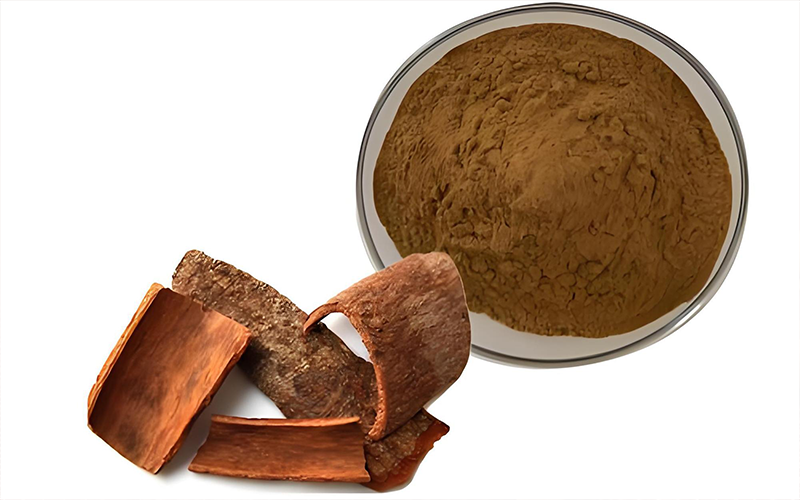 Cinnamon bark Extract 2