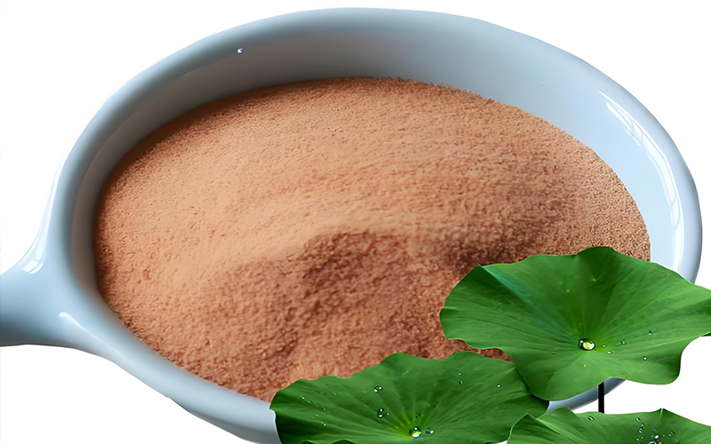 Lotusblattextrakt 1