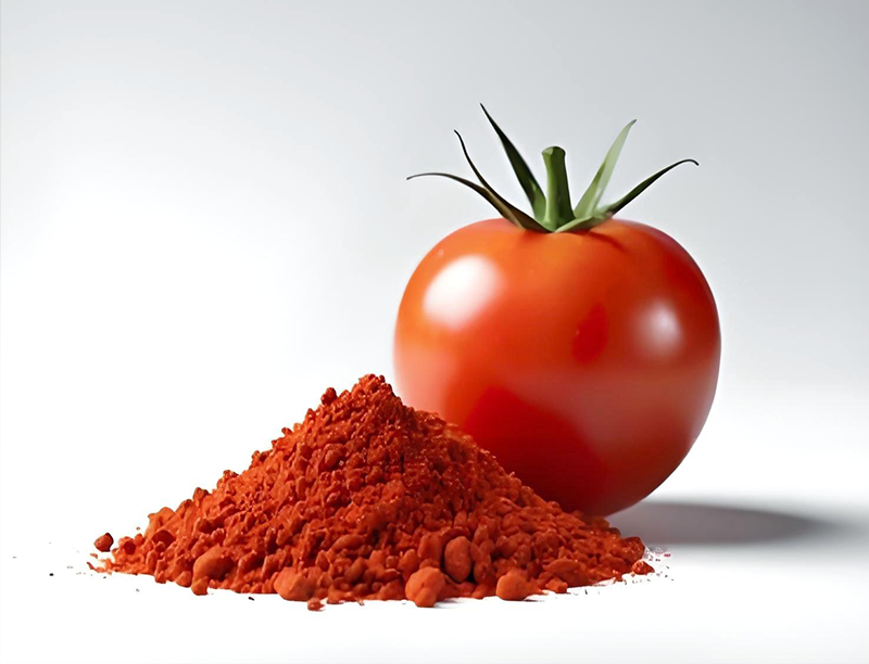 Lycopene Powder1