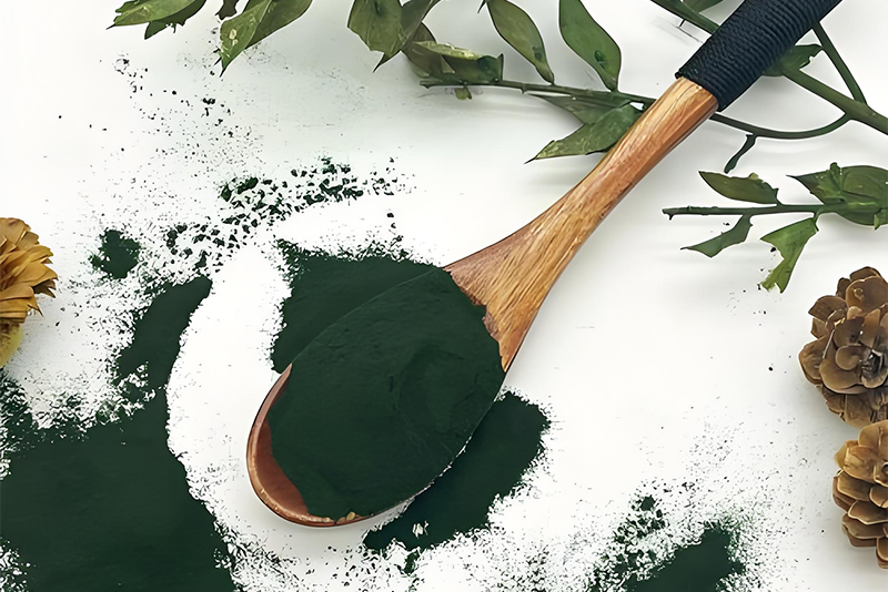 Extrato de Spirulina: Novas Oportunidades para Diversas Aplicações a partir do Tesouro Ativo das Microalgas