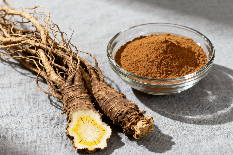Poder das plantas, cientificamente comprovado: Extrato de Angelica sinensis