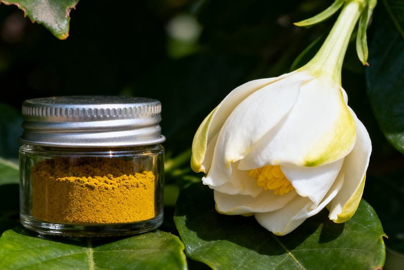 Extrato natural de gardênia: revelando a fonte de uma pele radiante.