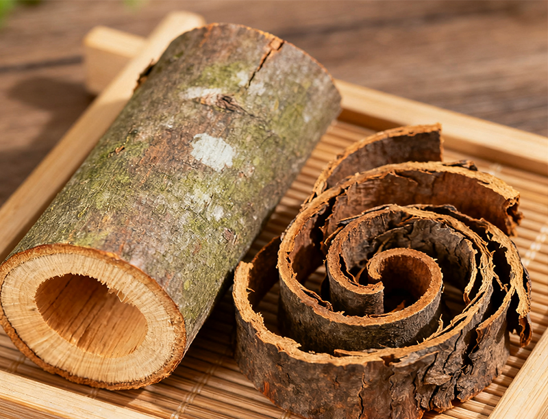 Magnolia Bark Extract 2