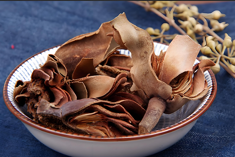 Extrato de casca de magnólia — Regula o sistema digestivo. Anti-inflamatório e antibacteriano.