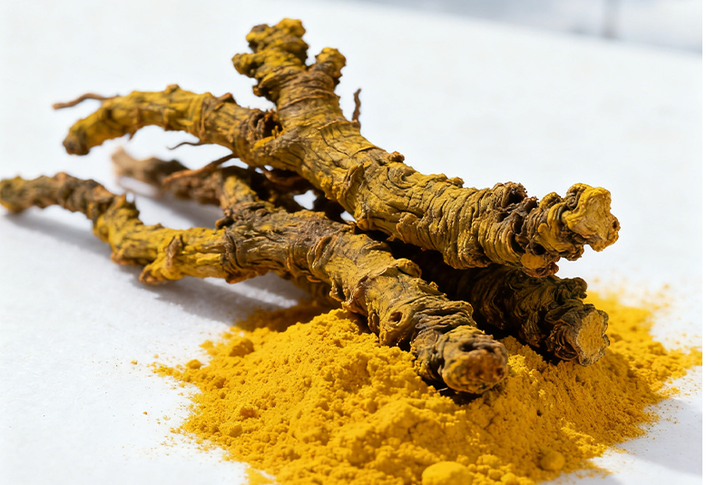 Natural Guardian of Gut Health: Berberine Hydrochloride