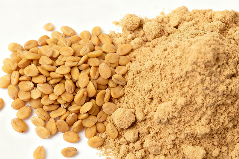 Fenugreek seed Extract: A Multi-Functional Active Ingredient Derived from Nature