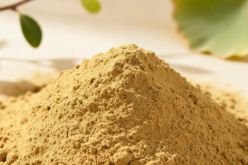 Ginkgo leaf Extract 1