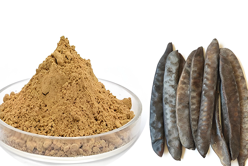 Natural Cleansing Power, Nourishing without Burden: Exceptional Gleditsia Sinensis Extract
