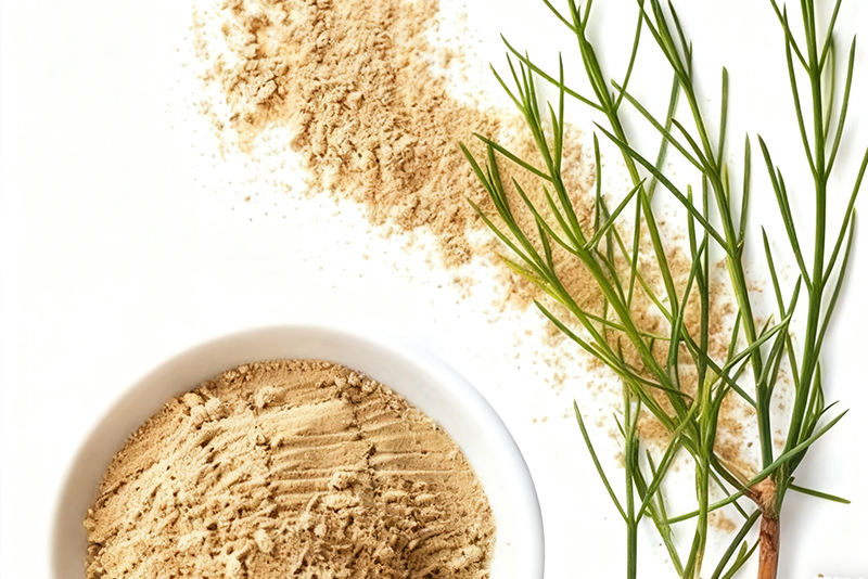Horsetail Extract—Strengthen bone and joint health