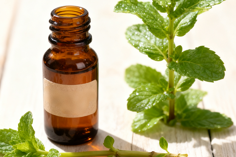 Peppermint Extract—Refreshes the mind, relieves fatigue, and boosts energy