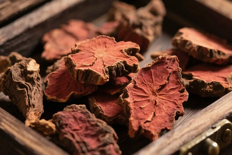 Rhodiola rosea Extract—Natural Adaptogenic Supplements