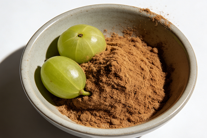 Emblica Extract: A Natural Health Treasure from Food and Medicine