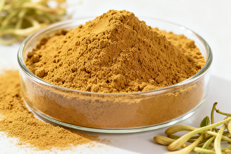 Honeysuckle flower Extract—Clear heat, detoxify, and inhibit bacteria Essential raw material for pharmaceuticals