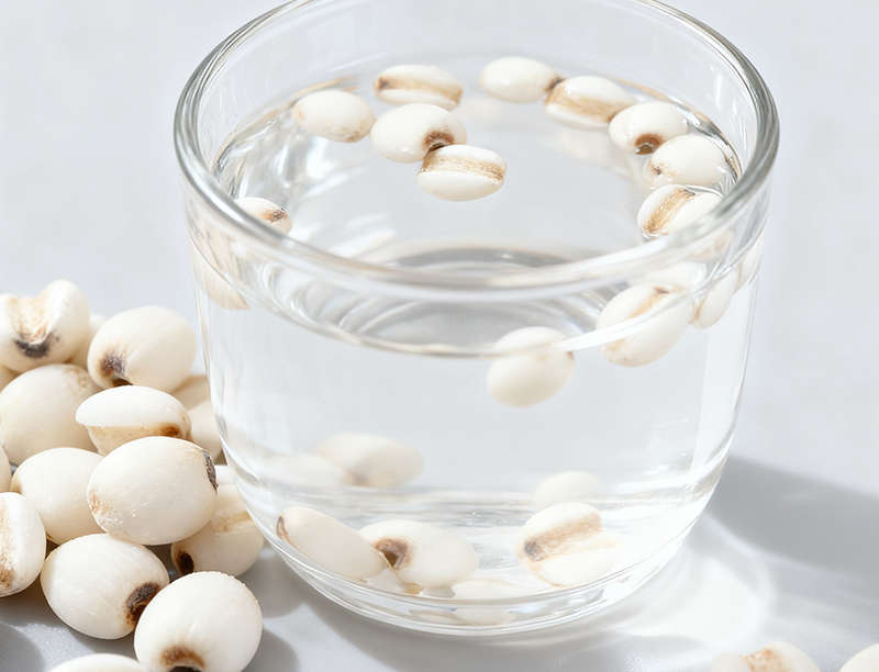 Semen coicis Extract 1