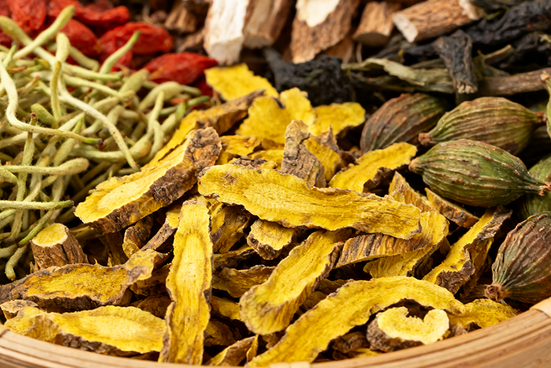 In-Depth Analysis of the Plant Extract Industry: From Traditional Wisdom to Modern Industry