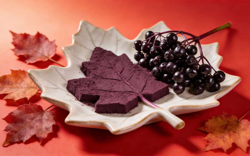 Elderberry Extract2