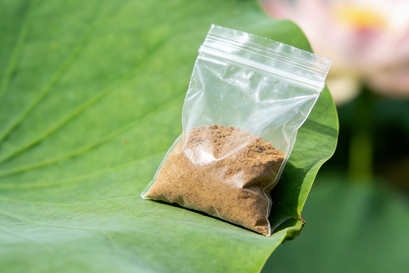 Relieve greasiness and reduce fat - the natural choice: high-purity Lotus leaf Extract, reset the baseline of health
