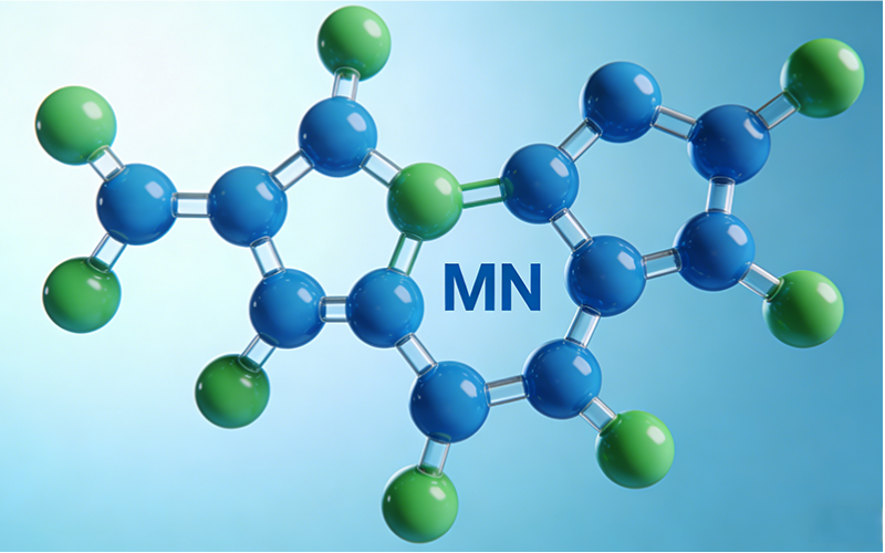 NMN1