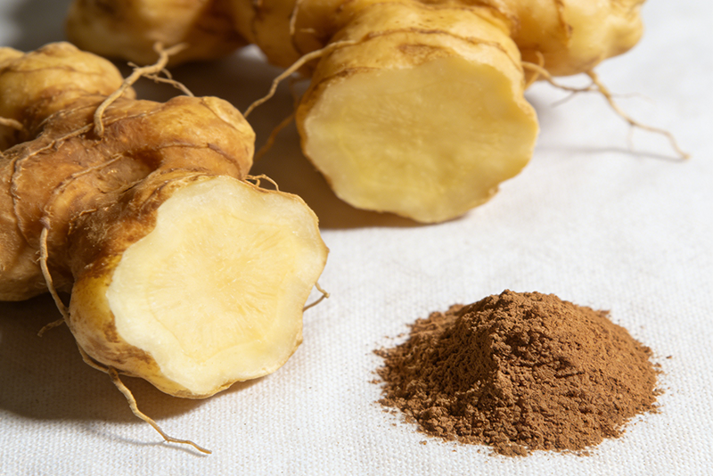 A New Model of Natural Nourishment — Polygonatum officinale Extract