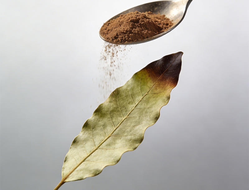 Senna Leaf Extract 3