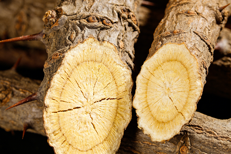 Siberian ginseng Extract—Immune System Regulation Antioxidant and Anti-Aging