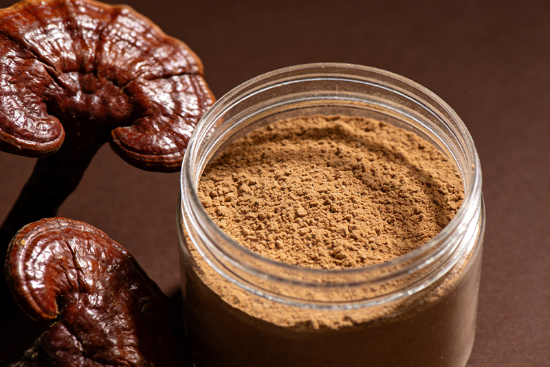 Ganoderma lucidum(reishi) Extract — A Treasure of Health Preservation from Medicine and Food Homology