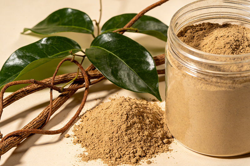 Sugar and Lipid Dual Regulation, Herbal Empowerment: High-Purity Gymnema Sylvestre Extract, Opening a New Journey of Natural Health