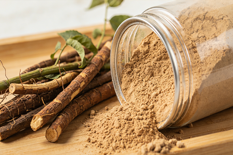 Polygonum Cuspidatum Extract Boom: The Modern Breakthrough and Industrial Game of a Traditional Chinese Medicine Ingredient