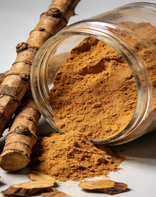Polygonum Cuspidatum Extract3