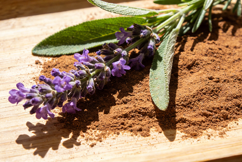 Salvia officinalis Extract 1