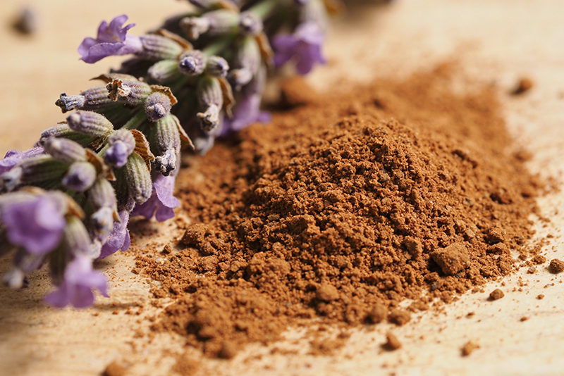 Salvia officinalis Extract – Harnessing Nature's Wisdom to Empower Healthy Living