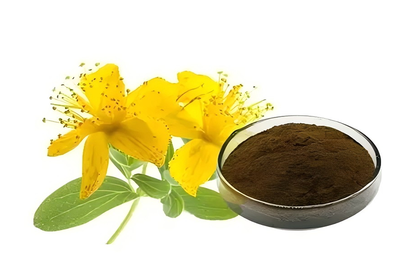 St.John’s wort Extract   : The Ancient Herb's “Prozac” and Skin Guardian
