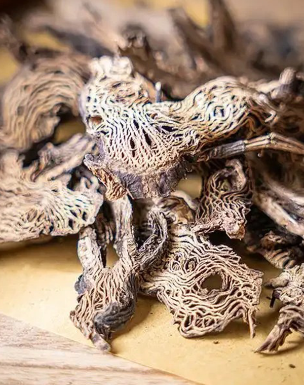 Black cohosh Extract 3