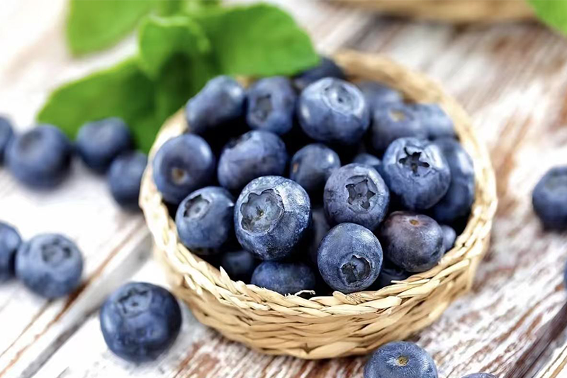 Blueberry Powder 1