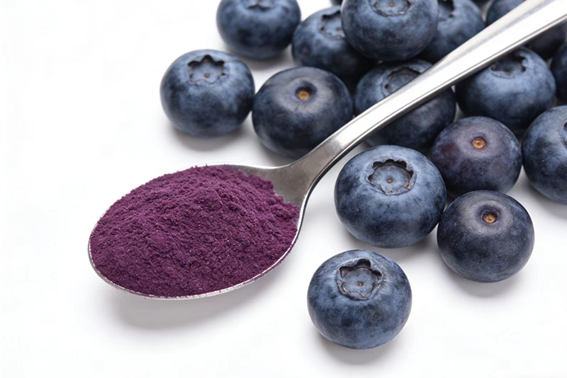 Blueberry Powder—A Naturally Derived, Highly Active Antioxidant Ingredient