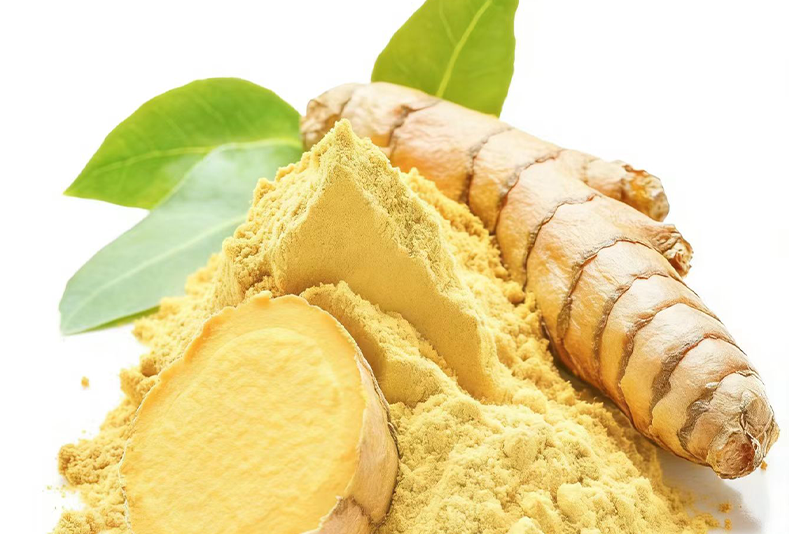 Kaempferol: Empowering a Healthier Lifestyle