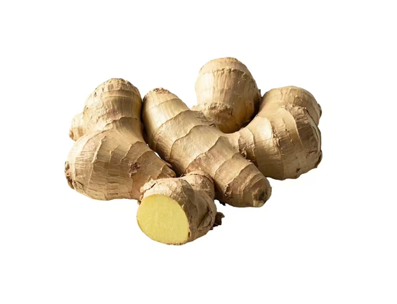 Kaempferol1