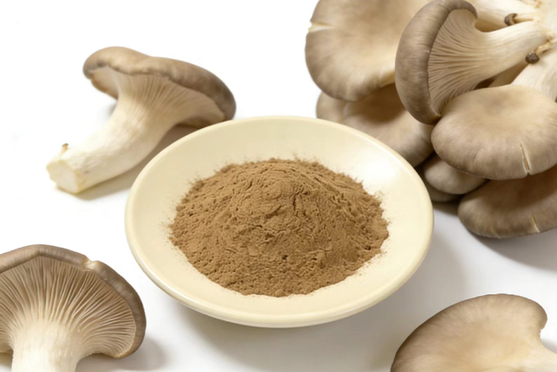 Pleurptus ostreatus Extract: The Nutritional Power Hidden in Mushrooms