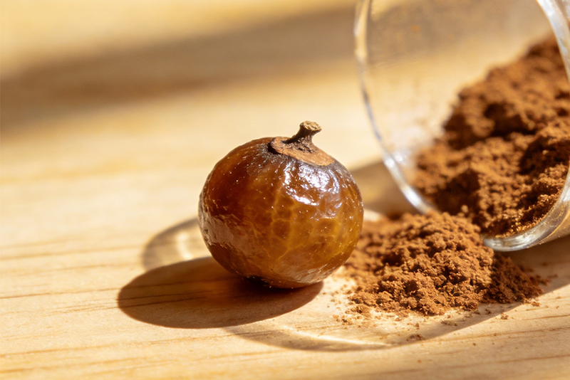 Cleansing Guardian: Soapnut Extract