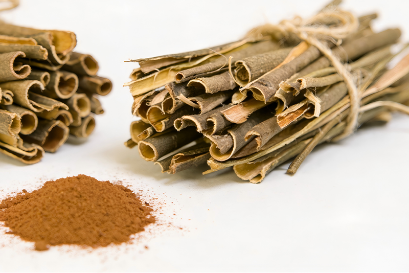 White Willow Bark Extract: A Natural Plant Extract that Gently Protects Health and Skin