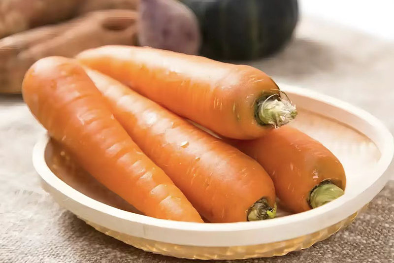 Carrot Extract  1