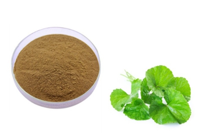 Centella asiatica Extract – Soothing and Repairing Ingredient