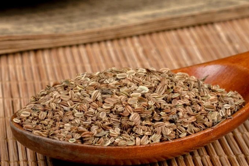Cnidium monnieri Extract1