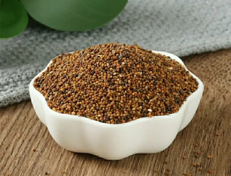 Cuscutae semen Extract 2