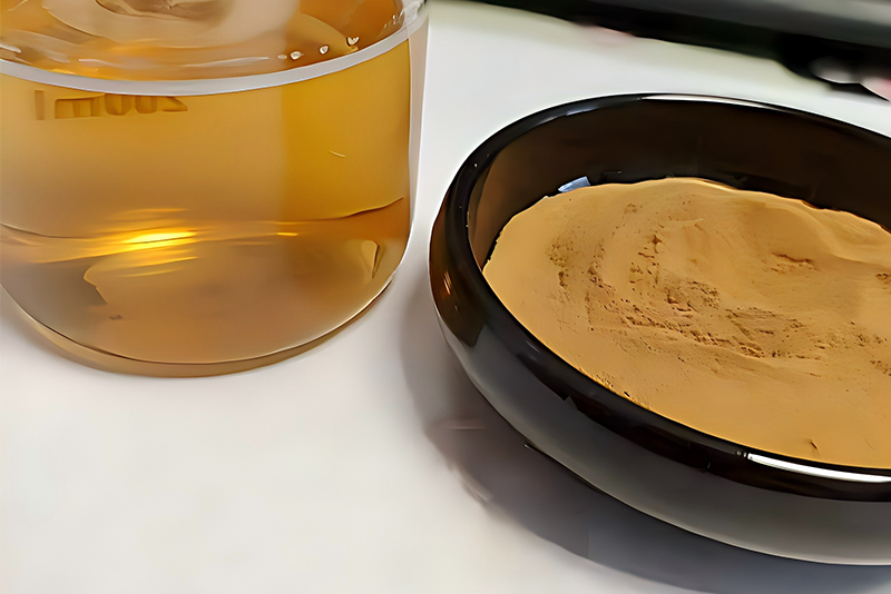 Turkey Tail Extract 1