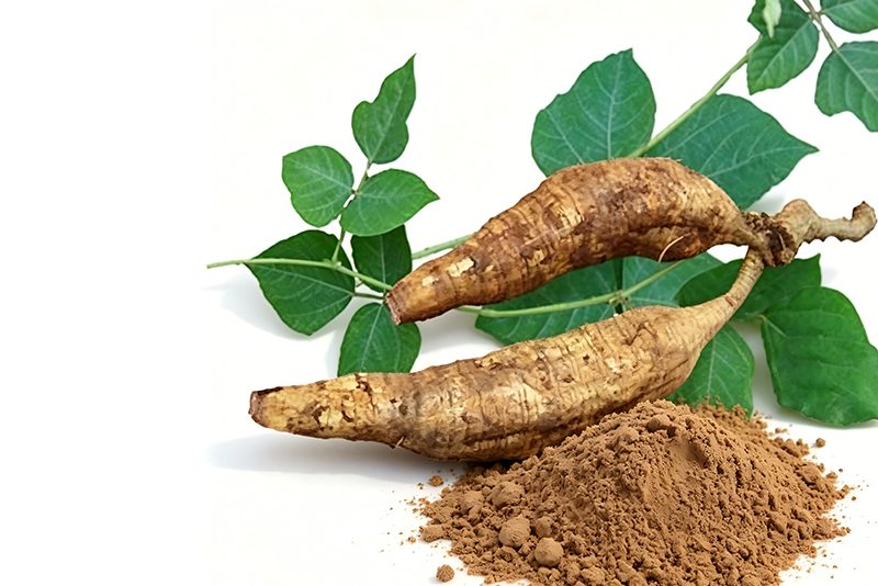 Kudzu root Extract — A Natural Plant Extract for Heart, Brain and Overall Health