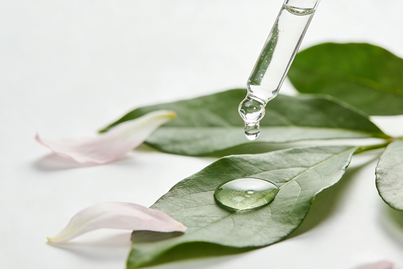 Amid the Clean Label Trend, How Are Plant Extracts Redefining the Boundaries of Skincare Efficacy?