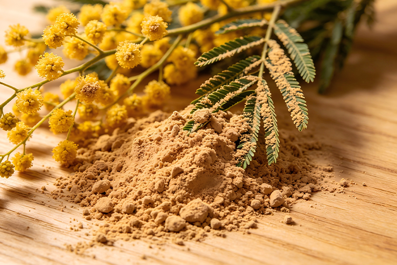 High-purity Vachellia farnesiana Extract, empowering health and beautiful skin
