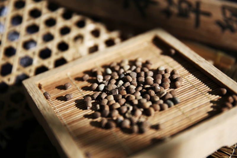 Euphorbia lathyris extract — Drastically purging water to relieve edema, breaking blood to resolve abdominal masses, and detoxifying to kill parasites